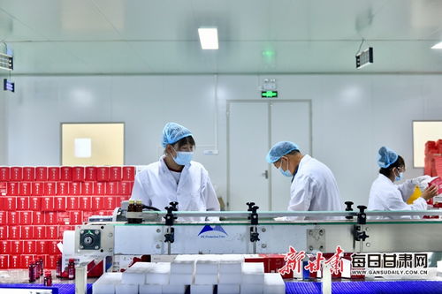 白銀枸杞與信息技術(shù)咨詢服務(wù)的融合 錢景可期的產(chǎn)業(yè)發(fā)展新路徑